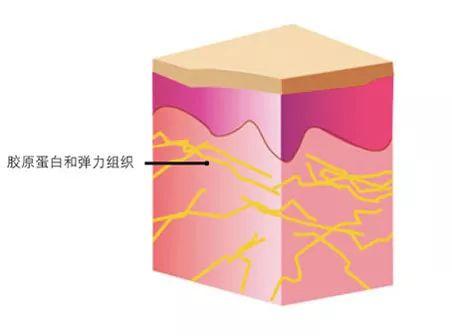 NU SKIN 助你对抗完美肌肤四大天敌