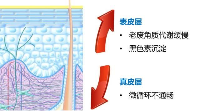 别把爽肤水不当护肤品——NU SKIN五款爽肤水总有一款适合你