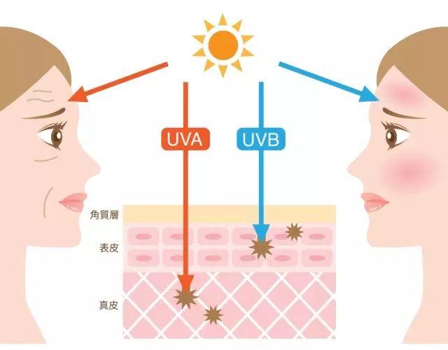 想要健康美白的肌肤，这一步您做到位了么？