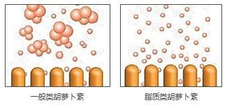 NU SKIN如新华茂g3®活能混合果汁饮料