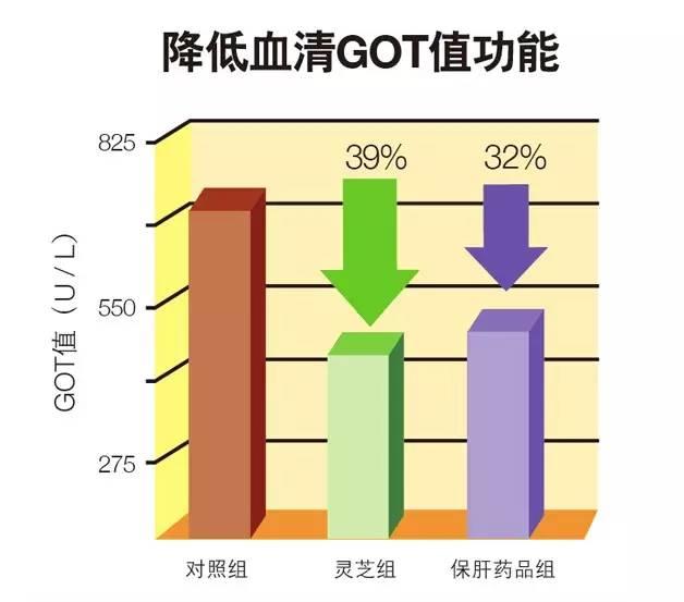 灵芝的主要应用及临床评价