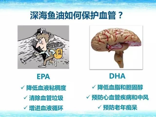 关于鱼油你不得不知的秘密