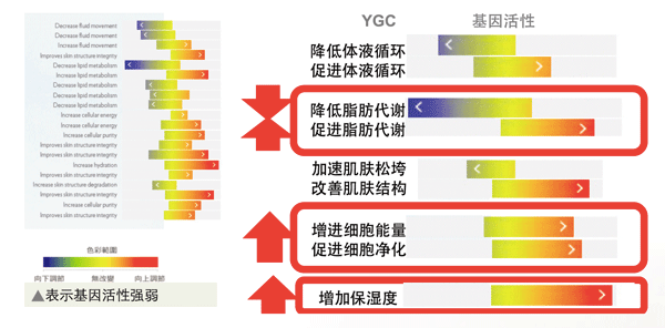 警惕！吸脂减肥的十大危害!NU SKIN ageLOC™Body Spa轻松定制你的紧致窈窕