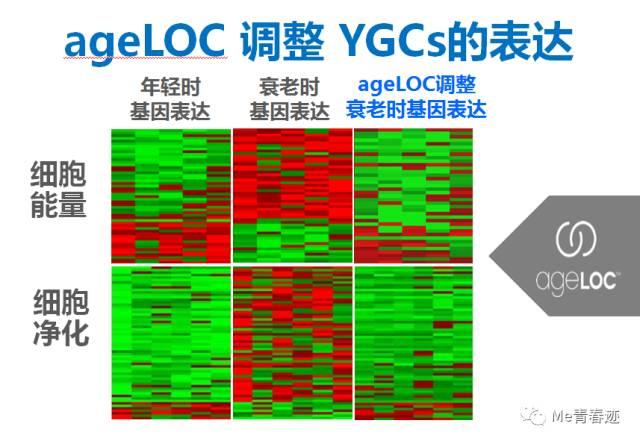 TR90减肥你需要知道的那些事丨超强医学背景告诉你