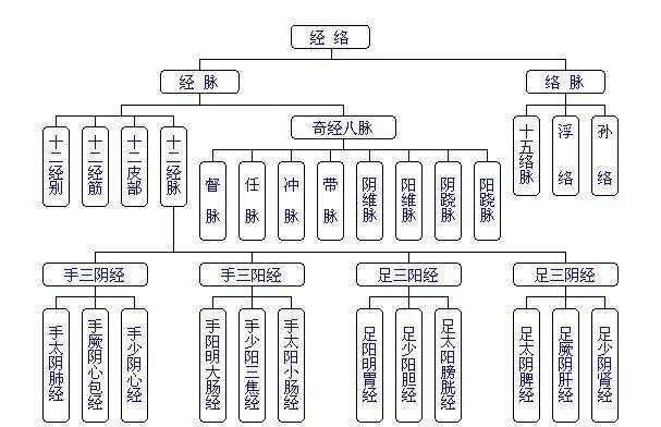 NU SKIN如新SPA机-经络穴位详解