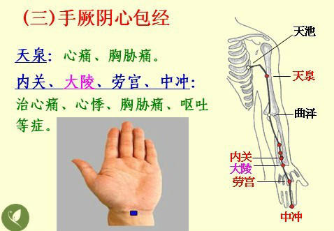 NU SKIN如新SPA机-经络穴位详解