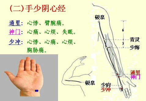 NU SKIN如新SPA机-经络穴位详解