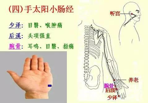 NU SKIN如新SPA机-经络穴位详解