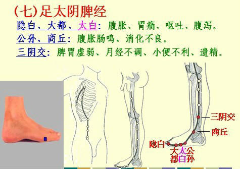 NU SKIN如新SPA机-经络穴位详解