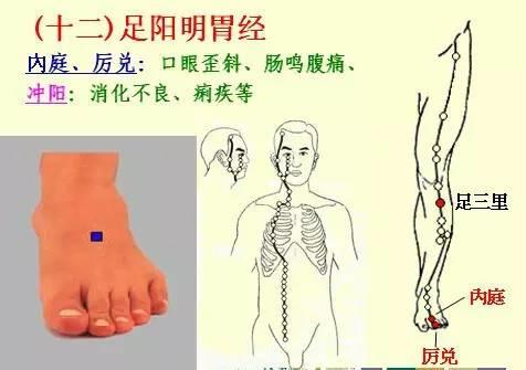 NU SKIN如新SPA机-经络穴位详解