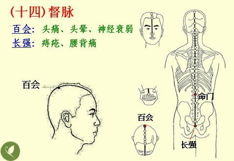 NU SKIN如新SPA机-经络穴位详解