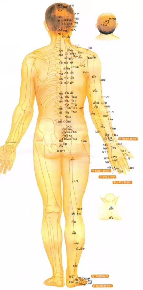 NU SKIN如新SPA机-经络穴位详解