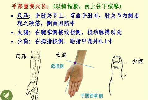 NU SKIN如新SPA机-经络穴位详解