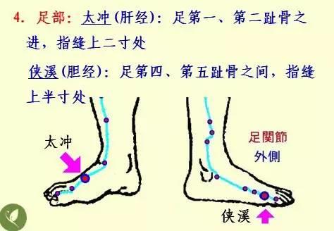 NU SKIN如新SPA机-经络穴位详解