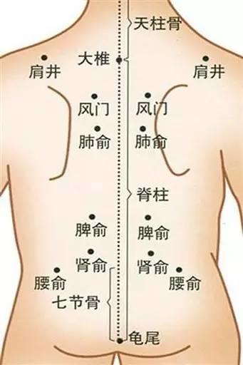 NU SKIN如新SPA机-小儿推拿穴位详解