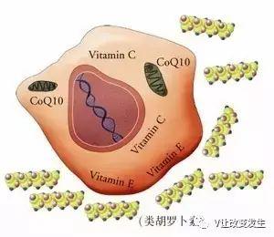 NU SKIN长久不衰护肤品必修组合！