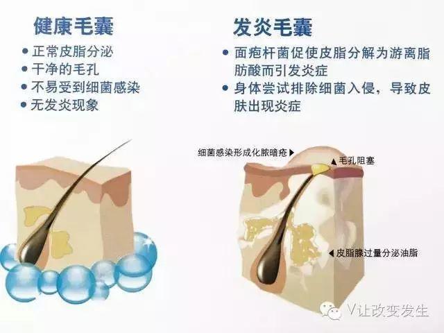 NU SKIN ageLOC Spa优+组合，效果倍现!